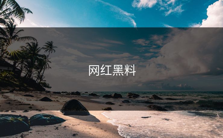 网红黑料
