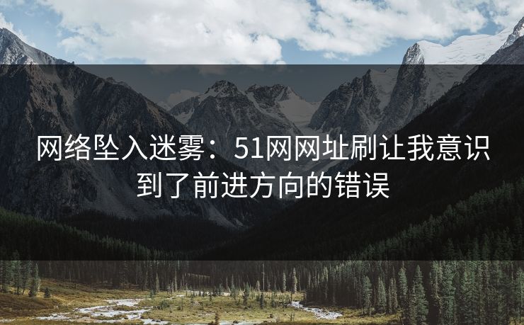 网络坠入迷雾：51网网址刷让我意识到了前进方向的错误