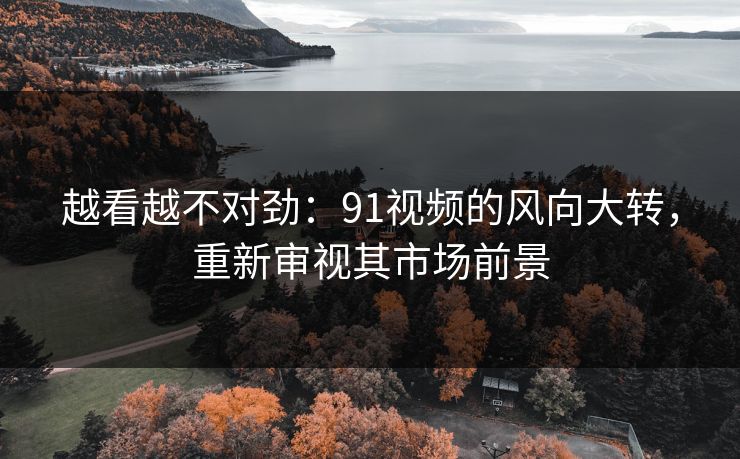 越看越不对劲：91视频的风向大转，重新审视其市场前景