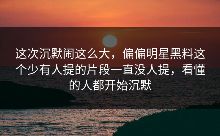 这次沉默闹这么大，偏偏明星黑料这个少有人提的片段一直没人提，看懂的人都开始沉默