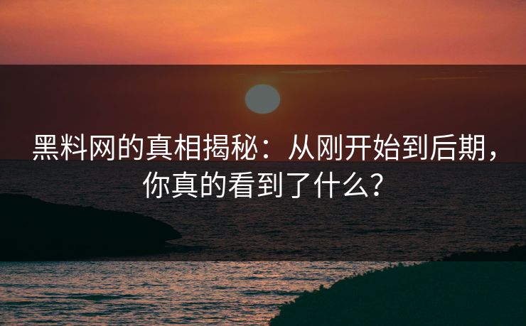 黑料网的真相揭秘：从刚开始到后期，你真的看到了什么？